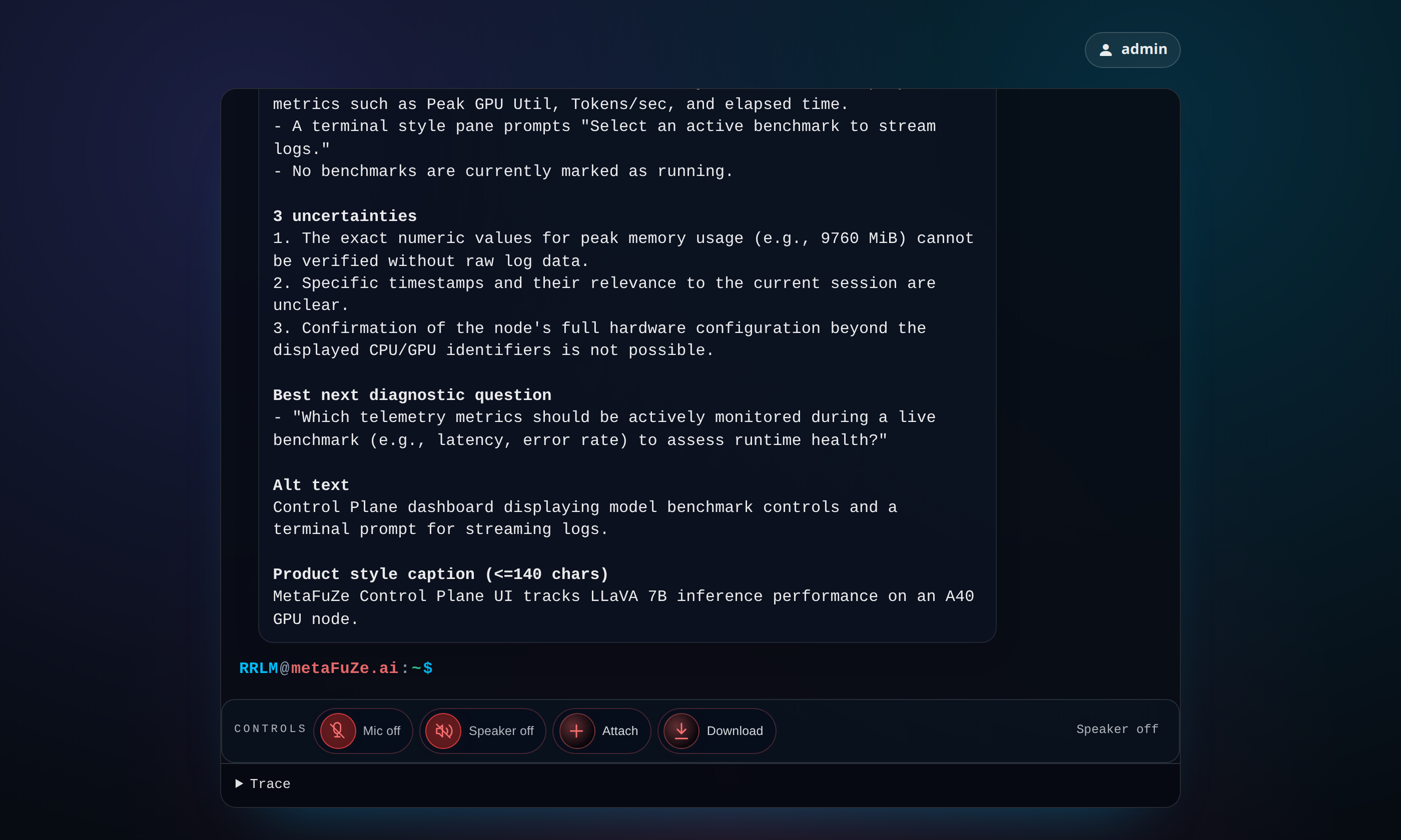 Sample conversation with the Vision persona